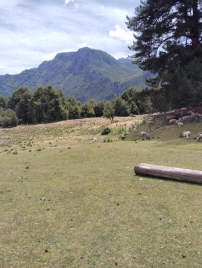 Camping Arroyo Quila Seca